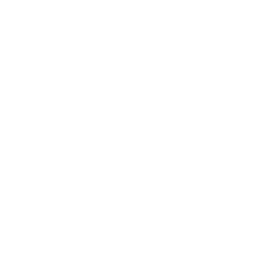 Arion Lightning Sport Aircraft Rabbit Skins T-Shirt