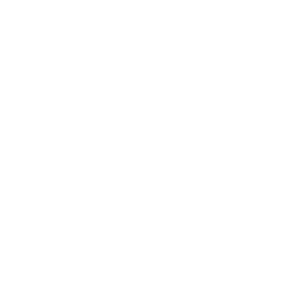 Tecnam P2002 Sierra Light Sport Aircraft Rabbit Skins T-Shirt