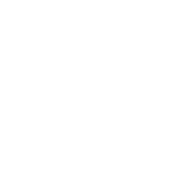 Cessna Skymaster Icon Rabbit Skins T-Shirt