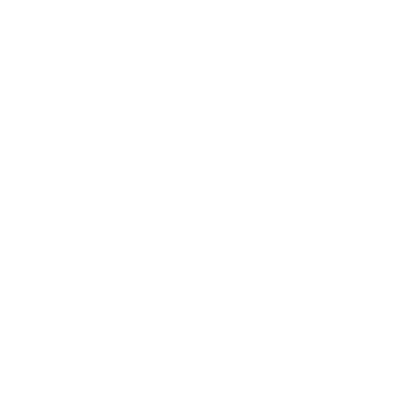 Cessna Centurion C-210 Rabbit Skins T-Shirt