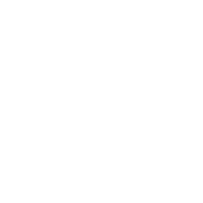 Cessna Corsair Adventure Rabbit Skins T-Shirt