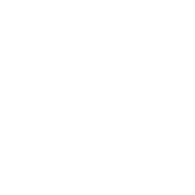 Boeing F-15SE Stealth Warrior Rabbit Skins T-Shirt