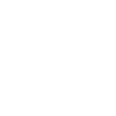 Boeing 787 Dreamliner 2 Rabbit Skins T-Shirt