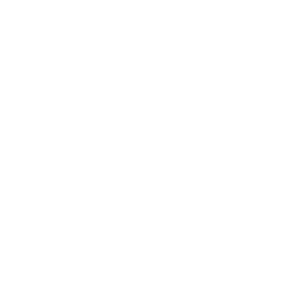 Boeing 747 Queen of the Skies Rabbit Skins T-Shirt
