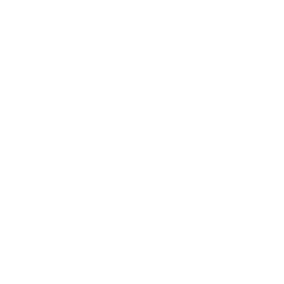 Boeing 757-200 Airliner 2 Rabbit Skins T-Shirt