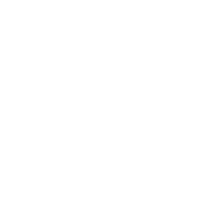 Boeing 747-8 Jumbo Jet Rabbit Skins T-Shirt