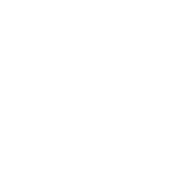 Albatros C.XII Reconnaissance Ace Rabbit Skins T-Shirt