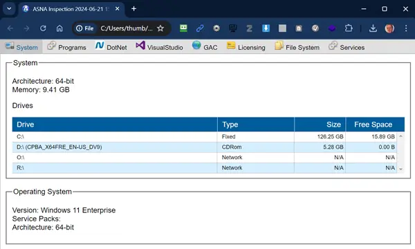 The ASNA Inspector HTML output