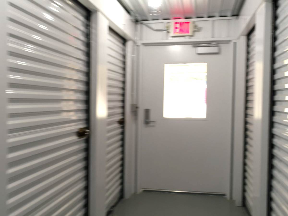 Preventing Pest Problems in Your Storage Unit