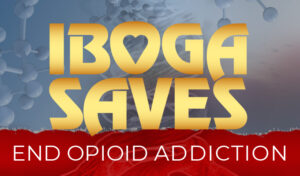 IBOGA SAVES660x400 1