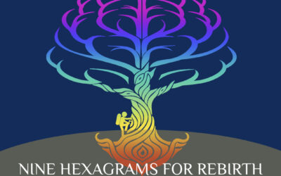 Change Your Character: Nine Hexagrams for Rebirth by Lakshmi Narayan
