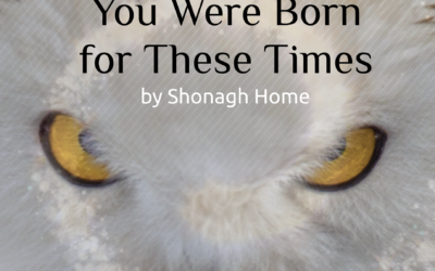 You Were Born for These Times by Shonagh Home