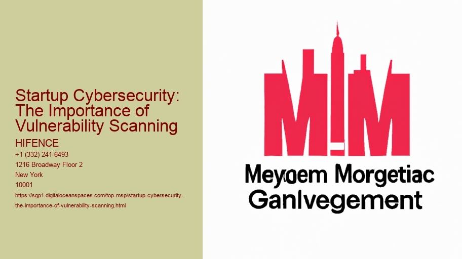 Startup Cybersecurity: The Importance of Vulnerability Scanning