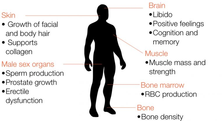 what happens to a woman when she takes testosterone