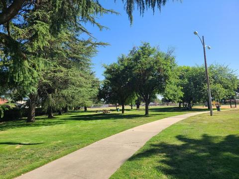 View looking north from Tokay Avenue at the southwest corner of Standiford Park.