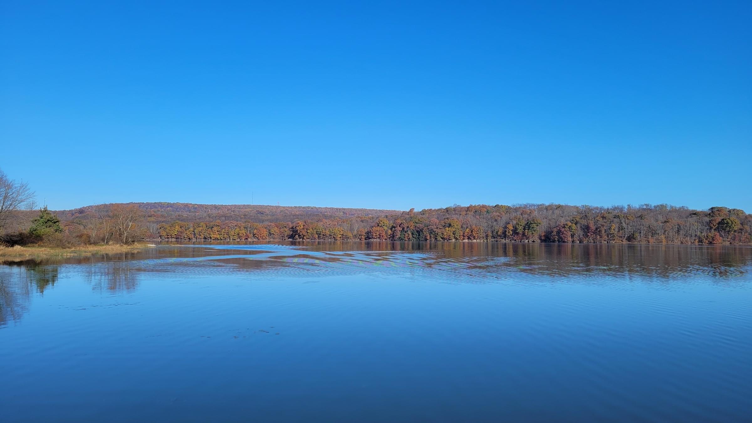 Yellow Creek SP (IBA) Indiana, Pennsylvania, US Birding Hotspots