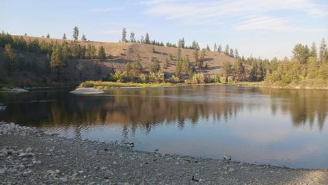 This cove at a bend in the Spokane River can attract a lot of geese and ducks in winter.