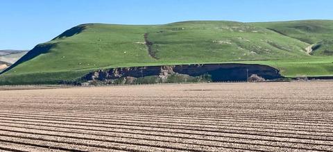 The eroded cliff in the distance was the last remaining habitat for nesting Bank Swallow in the interior of Monterey County