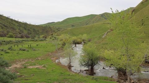 View to the west from the wide pullout at mile 4.2, looking upstream along Del Puerto Creek.