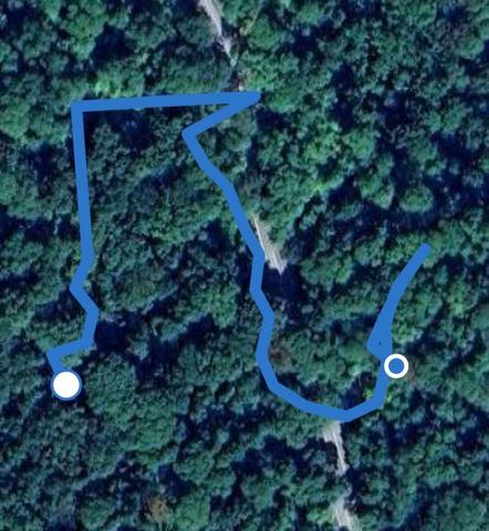 This photo shows our path along the trail. The blue dot is the parking area and the white dot, which is further uphill, is where we encountered our first Cerulean Warbler. 