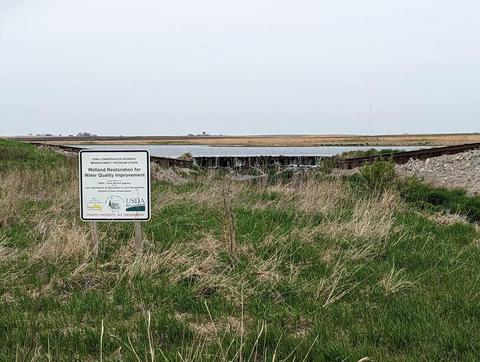 Marsh Farm Wetland