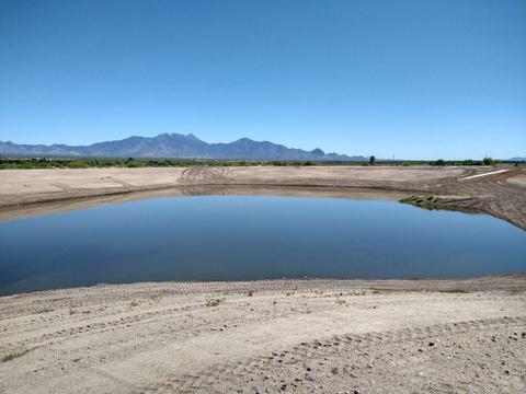 Flooded recharge basin, Green Valley WRF with the Santa Rita Mountains in the background. April 2024