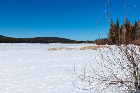 Frozen northern expanse of Hydraulic Lake from McCulloch Lake Resort