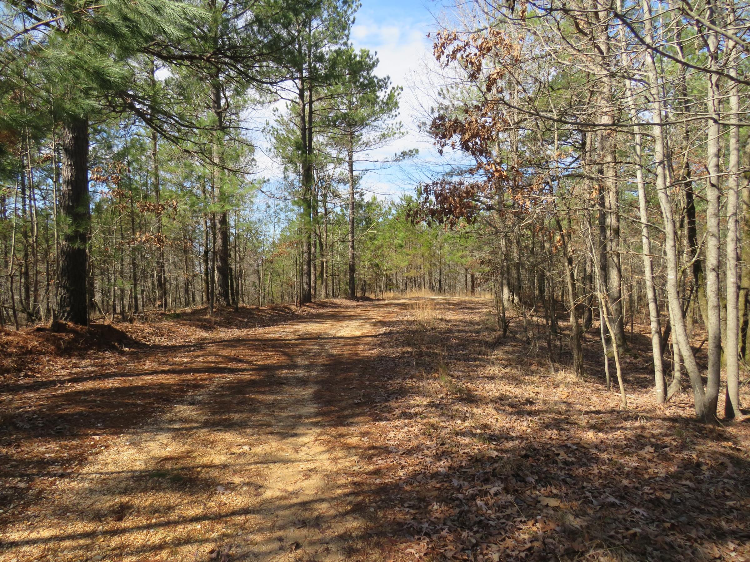 Goat's Beard Bluff Natural Area - Saline, Arkansas, US - Birding Hotspots