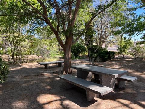 Shaded picnic table and bench in garden