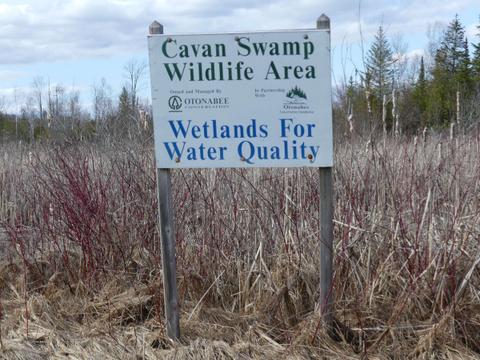 Cavan Swamp Wildlife Area (general location)