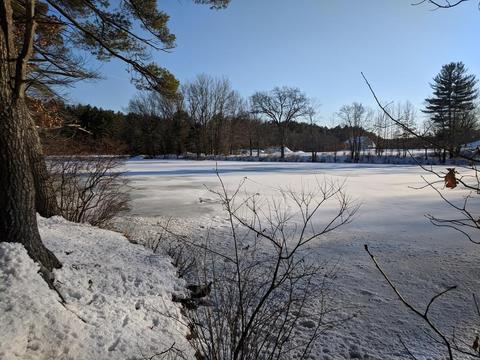 Russell Brook- frozen in winter