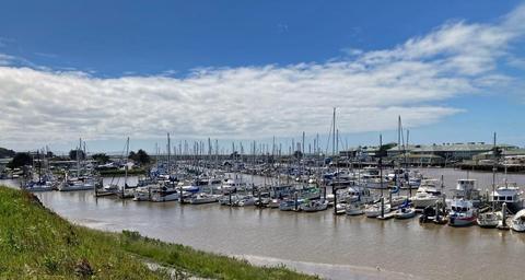 Moss Landing marina: many Monterey Bay or Elkhorn Slough boat trips leave from here