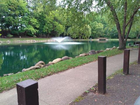 Silver Park pond