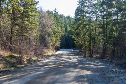 Beaver Lake Road passing through forested habitat
