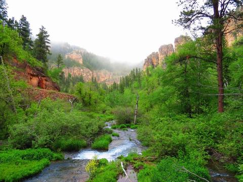 Spearfish Canyon, Spring