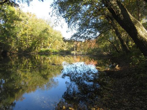Buffalo River near Parker Hickman Historic Site