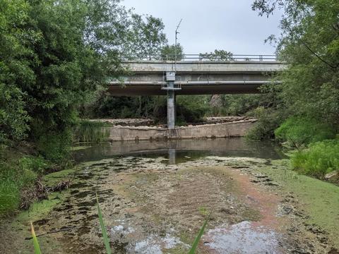 Patterson Bridge, viewed from Atascadero creekbed
