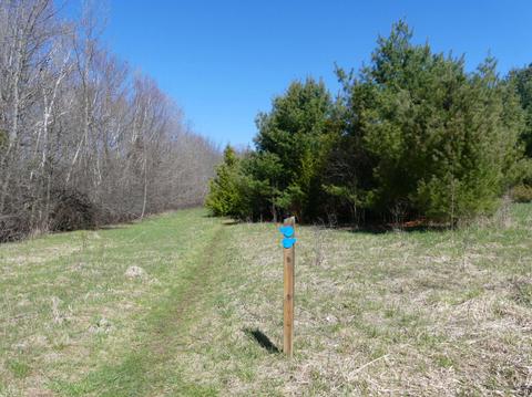 John Earle Chase Memorial Park (East) - Blue Trail Loop Trailhead, April 24th, 2024.