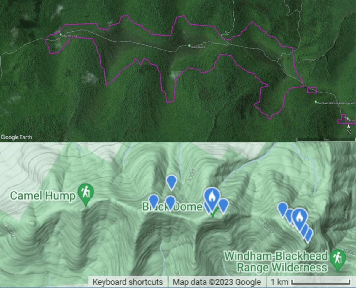 Both panels show the Black Dome ridgeline (and surrounding mountains) in the Catskills of New York. The top panel shows the estimated extent of the high-elevation spruce-fir forest, outlined in purple. The white lines are hiking trails. High-elevation species like Bicknell’s Thrush are likely found throughout the area outlined in purple. This imagery is from Google Earth. The bottle panel shows the same area, with an image created by eBird on 8/3/2023. The blue markers in the bottom panel show where Bicknell’s Thrush have been previously reported to eBird. Incredibly, there has only been a single checklist reporting Bicknell’s Thrush within this area to eBird within the last decade.