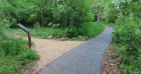 Russ Pitman Park, Bellaire, Texas, typical paths
