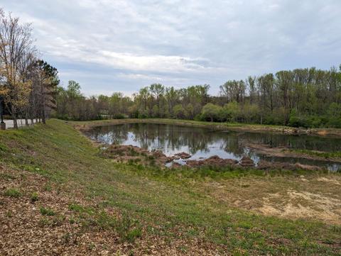 The Parkway Retention Pond April 1 2024
