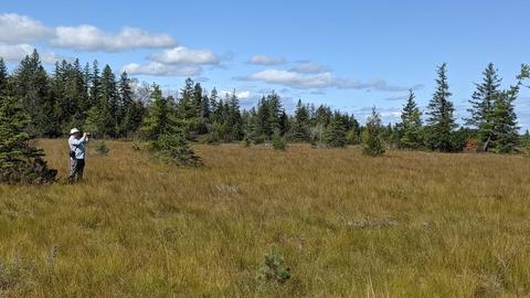 Open grassland at the north portion of Burntlands PP, September 2021