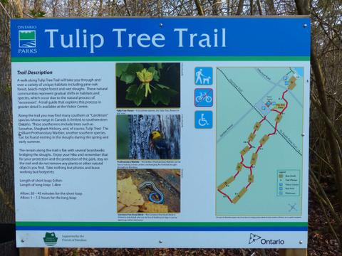 Rondeau Provincial Park - Tulip Tree Trail, May 2016.