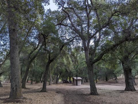 Aliso Park campground