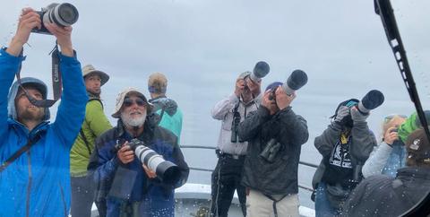Birders on pelagic trip photographing vagrant on boat!