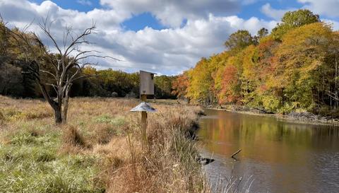 October at Waples Mill Meadow Park