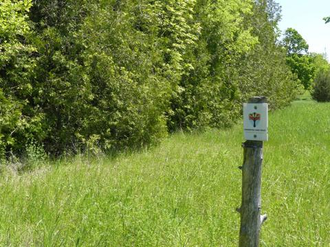 Dance Nature Sanctuary - Trail Marker, May 25th, 2023
