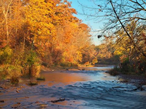 Bronte Creek in Autumn