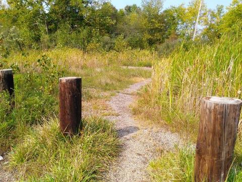 Parking and path to Berlin Mudflats