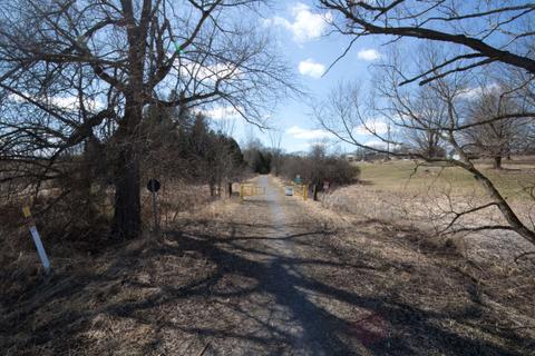 Lang-Hastings Trail--Villiers Line to Blezard Line, looking west from Blezard Line, Peterborough Co., ON, 31 March 2024